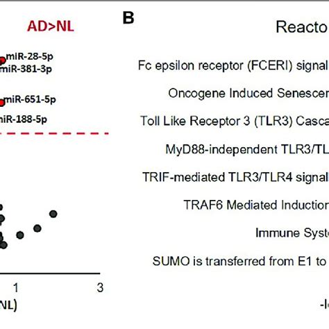 Mirna Transcriptomic Analysis Of Microglial Evs From Normallow Download Scientific Diagram