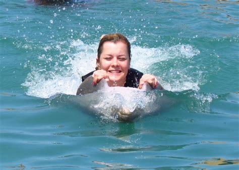 Dolphin Swim Doctors Cave Beach In Montego Bay Carnival Cruise Line