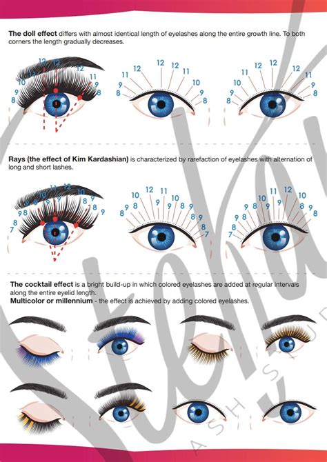 Lash Map Sheets Directions Printable Lash Mapping Eyelash