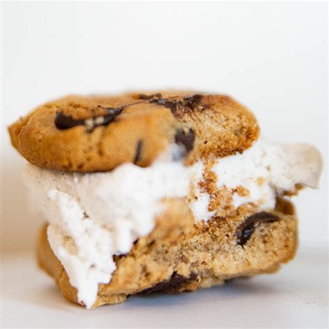 Vegan Ice Cream Sandwiches