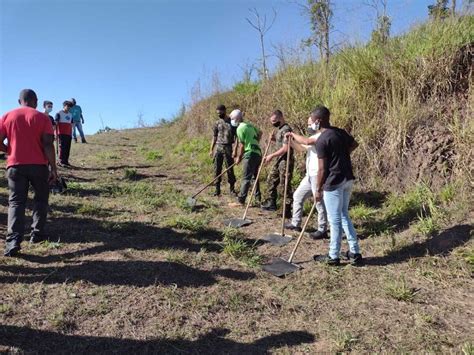 Prefeitura Prepara Diversas Atividades Para A Semana Do Meio Ambiente