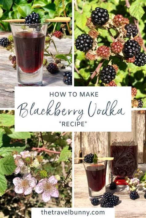 Simple Recipe For Blackberry Vodka