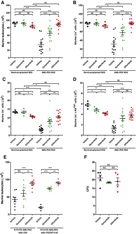 Normal Murine Hematopoiesis In Nontransplanted And FLT3 ITD AML PDX