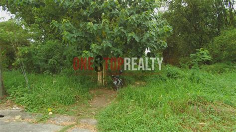 Residential Lot For Sale In Candau Ay Dumaguete City Negros Oriental