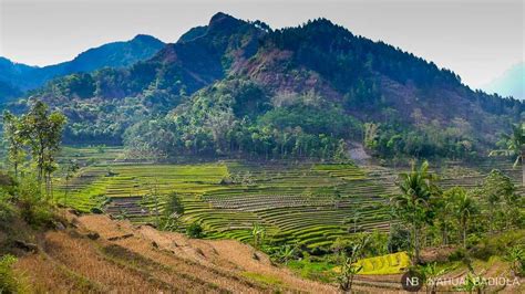 Descubre Un Templo Hind Entre Plantaciones De Arroz En Indonesia