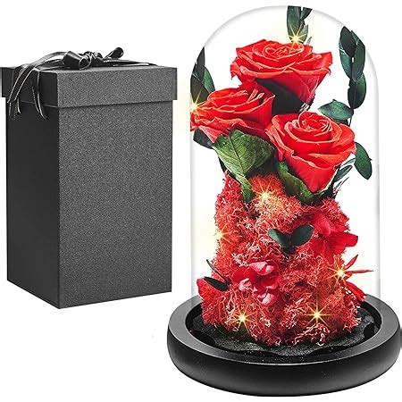 Ewige Rose Geschenk F R Frauen Ewige Rose Im Glaskuppel Mit Led Licht