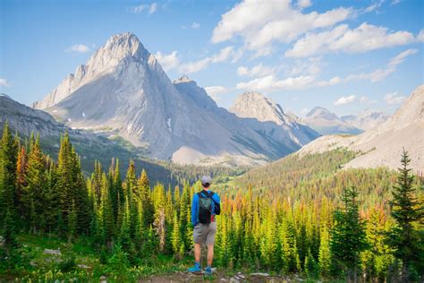 Beautiful Banff Cabin Rentals To Cozy Up In