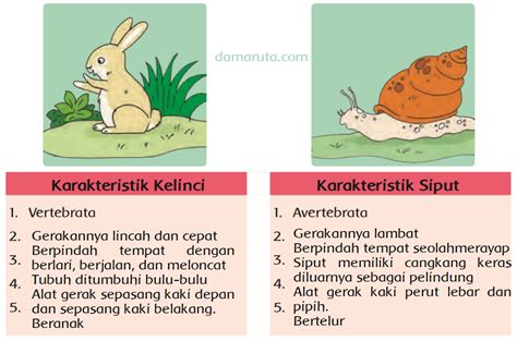 Detail Gambar Hewan Vertebrata Dan Avertebrata Koleksi Nomer