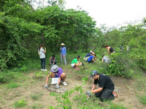 Forest Conservation: Pictures Of Forest Conservation