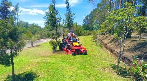 Espacios P Blicos Reciben Mantenimiento De Reas Verdes Cada Semana