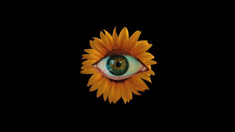 Sunflower Wallpaper 4K, Weirdcore, Eye, Black background