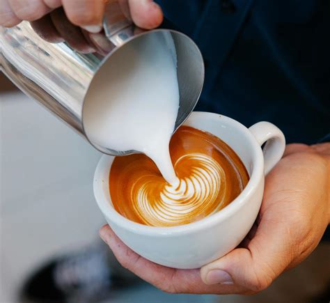 Esto Es Lo Que Dice La Ciencia Sobre Usar La Cafe Na Como Suplemento