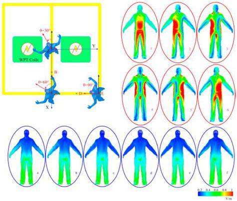 Magnetic field distributions induced by human body [127]. | Download ...