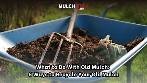 What To Do With Old Mulch 6 Ways To Recycle