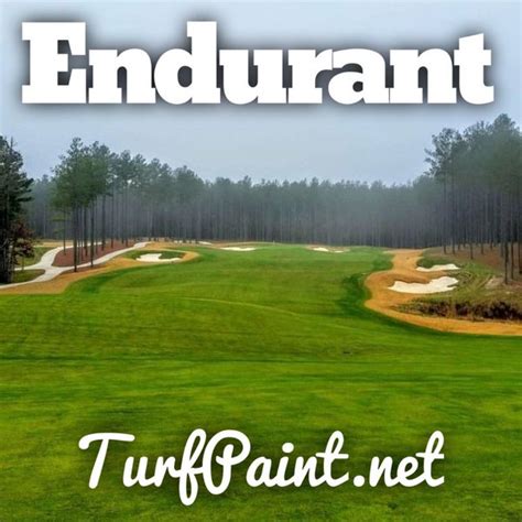 Before and after pictures of turf transformations - Endurant Turf Paint