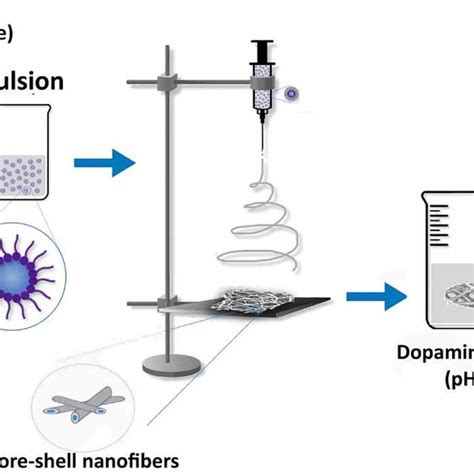 Schematic Illustration Of The Scaffold Preparation Download Scientific Diagram