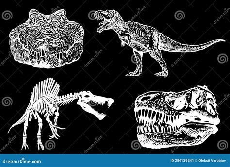 Big Graphical Set Of Dinosaurs Skulls And Skeletons Isolated On Black