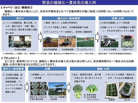 MEGADERU 生産者 MEGADERUは生産者を応援する農業専門マッチングサイトです