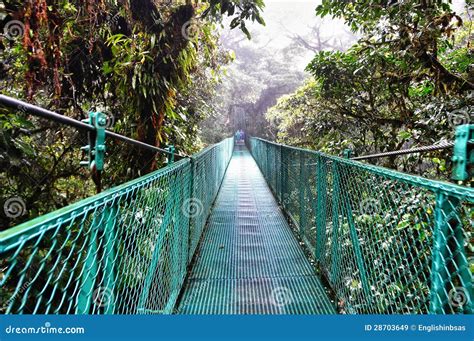 Canopy Walk In Costa Rica Royalty Free Stock Images - Image: 28703649