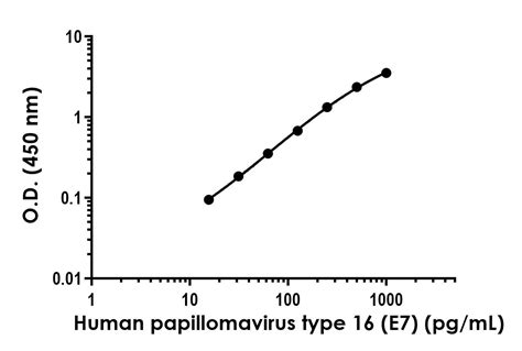 Human Papillomavirus Type 16 E7 抗体 Pair Bsa And Azide Free Ab300761