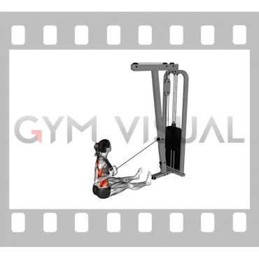 Cable One Arm Twisting Seated Row Female