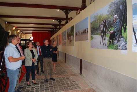 Saint L Tout L T Le P Le Hippique Accueille Deux Expositions Quines