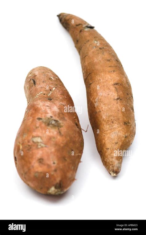 Sweet Potato Vegetable Sweet Potato Stock Photo Alamy