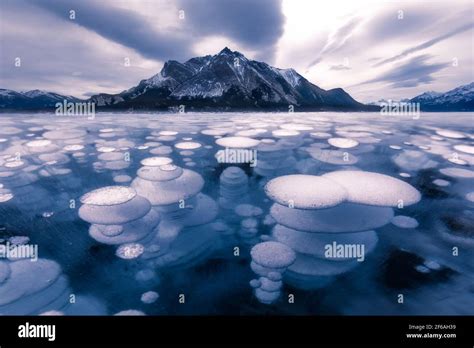 Abraham Lake Winter Ice Formation Bubbles Stock Photo Alamy