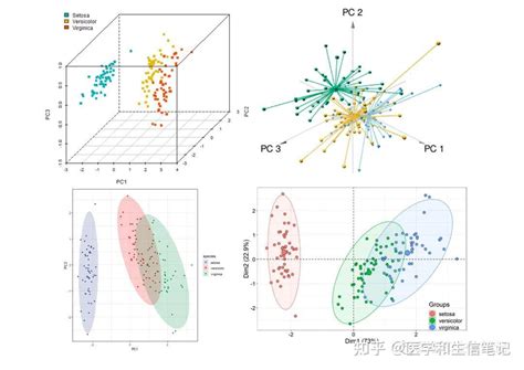11篇文章详解聚类和PCA可视化 知乎