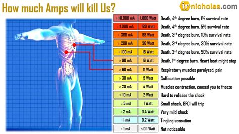 How Electric Current Effect Human Being Youtube