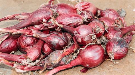 Nutrisi Bawang Merah Kandungan Gizi Manfaat And Efek Samping