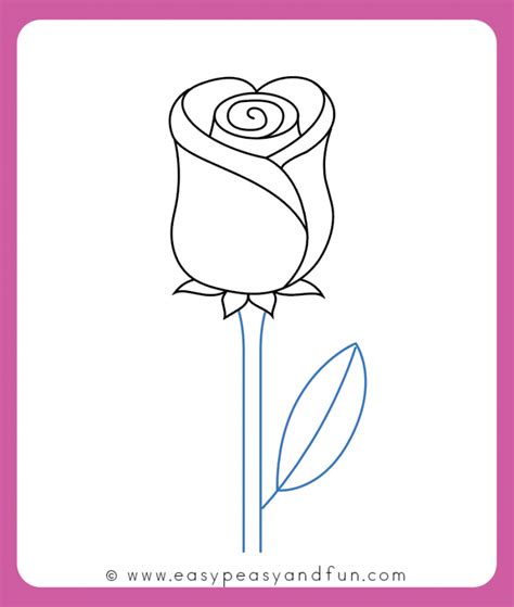 Easy Drawing Of Rose Plant For Kids - ezzeyn