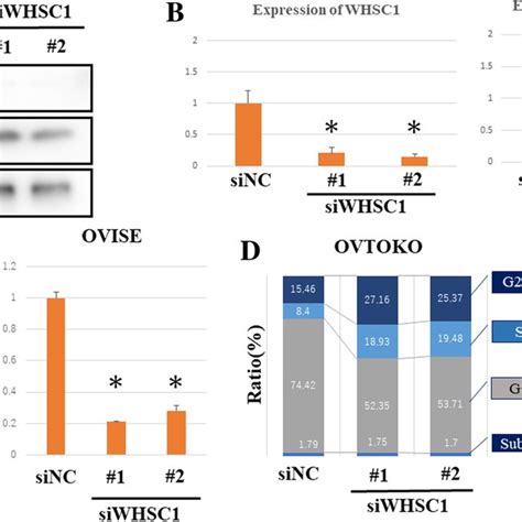 Whsc Expression In Ovarian Clear Cell Carcinoma Occc And Normal