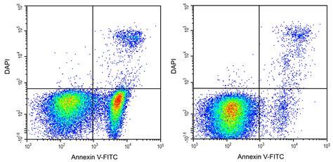 科研用annexin V Fitc Dapi细胞凋亡检测试剂盒elabscience 【官方网站】