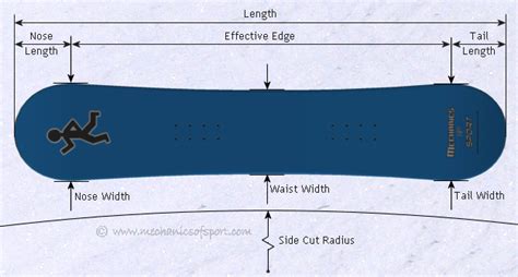 Beginner Snowboard Size Calculator Snowboarding Size Chart