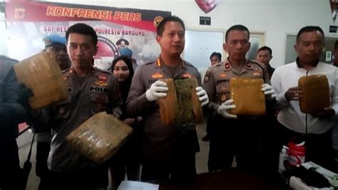 Polresta Bandung Amankan 6 Kilogram Ganja Yang Dikubur Dalam Tanah Dari