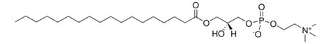 18 0 Lyso PC 1 Stearoyl 2 Hydroxy Sn Glycero 3 Phosphocholine