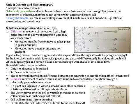 Ccea Gcse Double Award Biology Unit 2 Revision Notes Teaching Resources