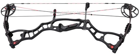 Hoyt Vector 32