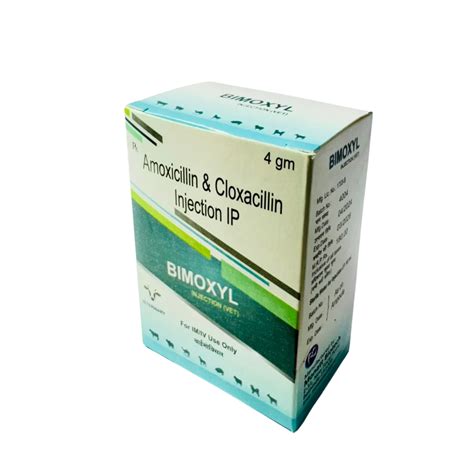 Amoxycillin Cloxacillin Injection Moxel Injection Latest Price