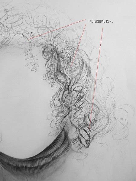 Discover more than 73 curly hair pencil sketch best - seven.edu.vn