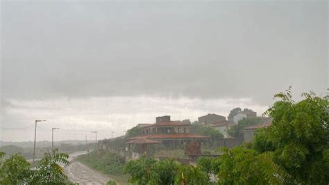 Chuva Do Caju Prejudica A Fruta Entenda O Impacto Nas Plantações Do