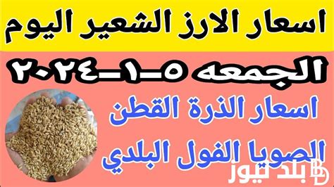 بكم سعر طن الأرز الشعير اليوم الجمعة 5 يناير 2024 وأسعار السلع الأساسية