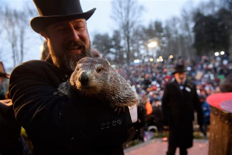 Groundhog Day 2020 Livestream: Watch Punxsutawney Phil Look HD wallpaper | Pxfuel