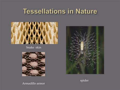 Ppt Tessellations Powerpoint Presentation Free Download Id1128344