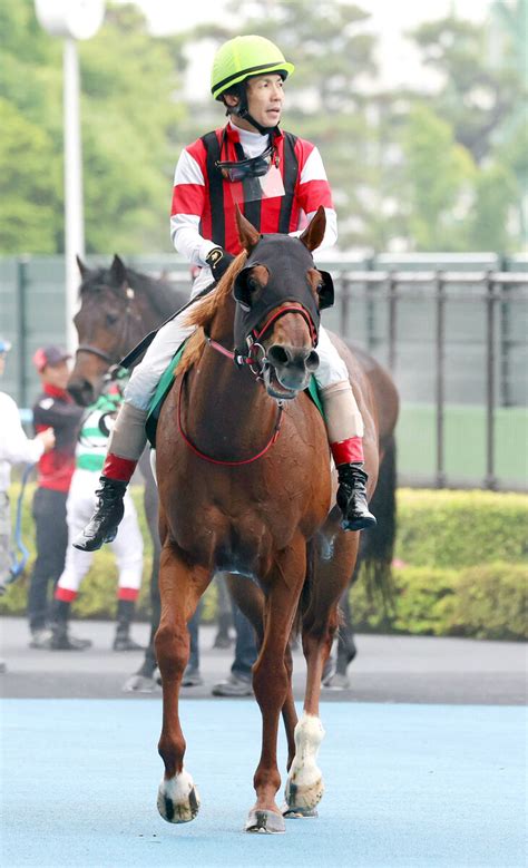 【函館スプリントs】ウイングレイテスト正攻法で2着 初1200メートルも59キロも洋芝もクリア Umatoku 馬トク