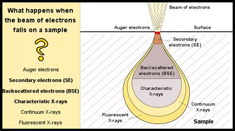 Scanning Electron Microscope Principle