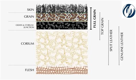 comprehensive guide  leather   unique varieties mayim leathers