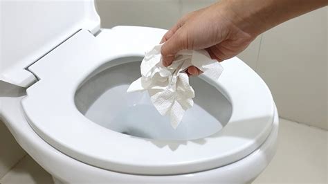 Is It Safe To Flush Paper Towels Down The Toilet