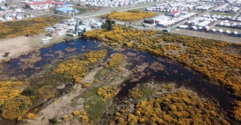 Tercer Tribunal Ambiental anula la declaración del Humedal Urbano